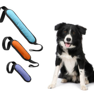 تاگ چرمي دو دسته ژوانيت سايز يك