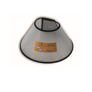 قلاده الیزابت رنگی سایز 2+