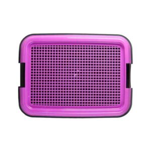 سيني سگ بزرگ 64*53 هاچيكو