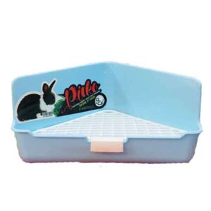 سيني خرگوش پيكو