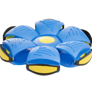 توپ دیسکبال