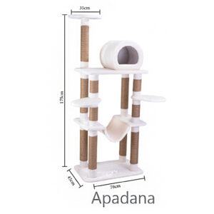 اسکرچر مریلند Apadana