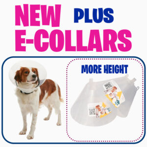 گردنبند الیزابت پلاس سایز 2 با قابلیت اتصال به قلاده