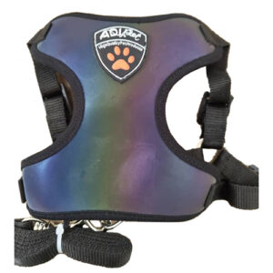 قلاده لباسی هفت رنگ (طرح هلوگرام)