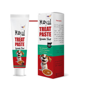 خمير تشويقي طعم گوشت royal coco