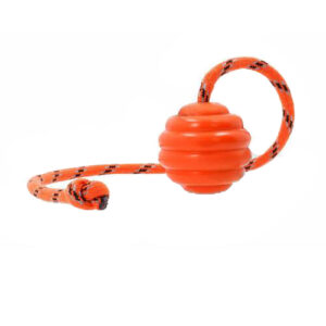 توپ آموزشی فرمی ویتال