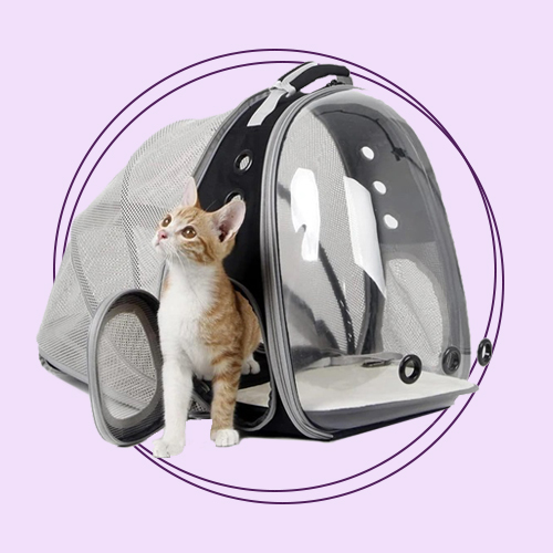 باکس و کیف حمل