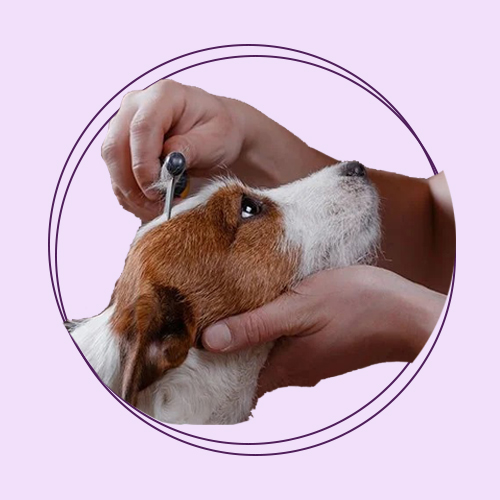 لوازم بهداشتی