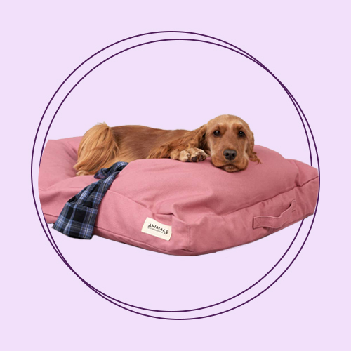 جای خواب و پارک