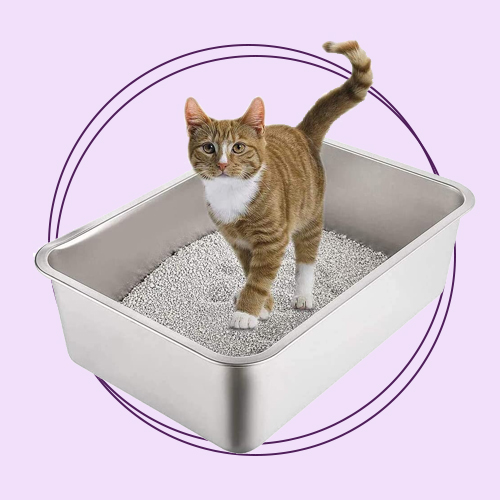 توالت و خاک