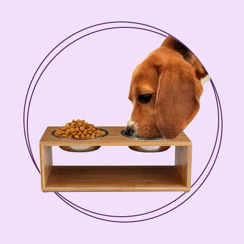 ظروف آب و غذا