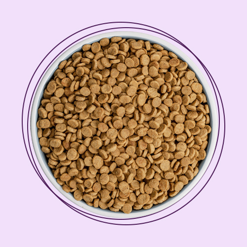 خوراک وغذای خشک