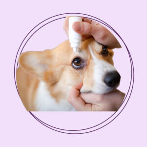 قطره های بهداشتی